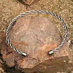 Neck Torc (L1)